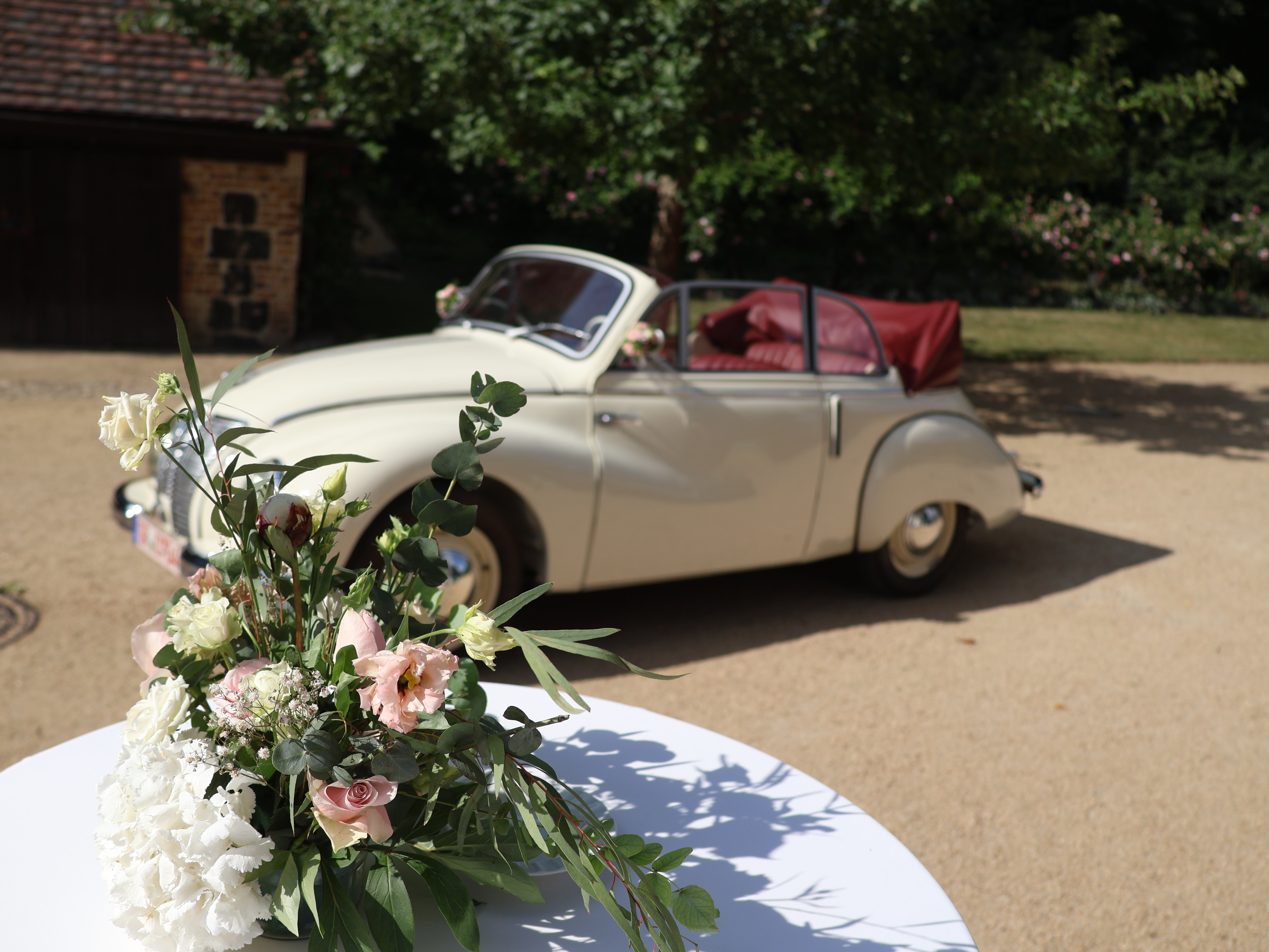 IFA F9 Cabrio - Perfektes Hochzeitsauto für Oldtimer-Fans
