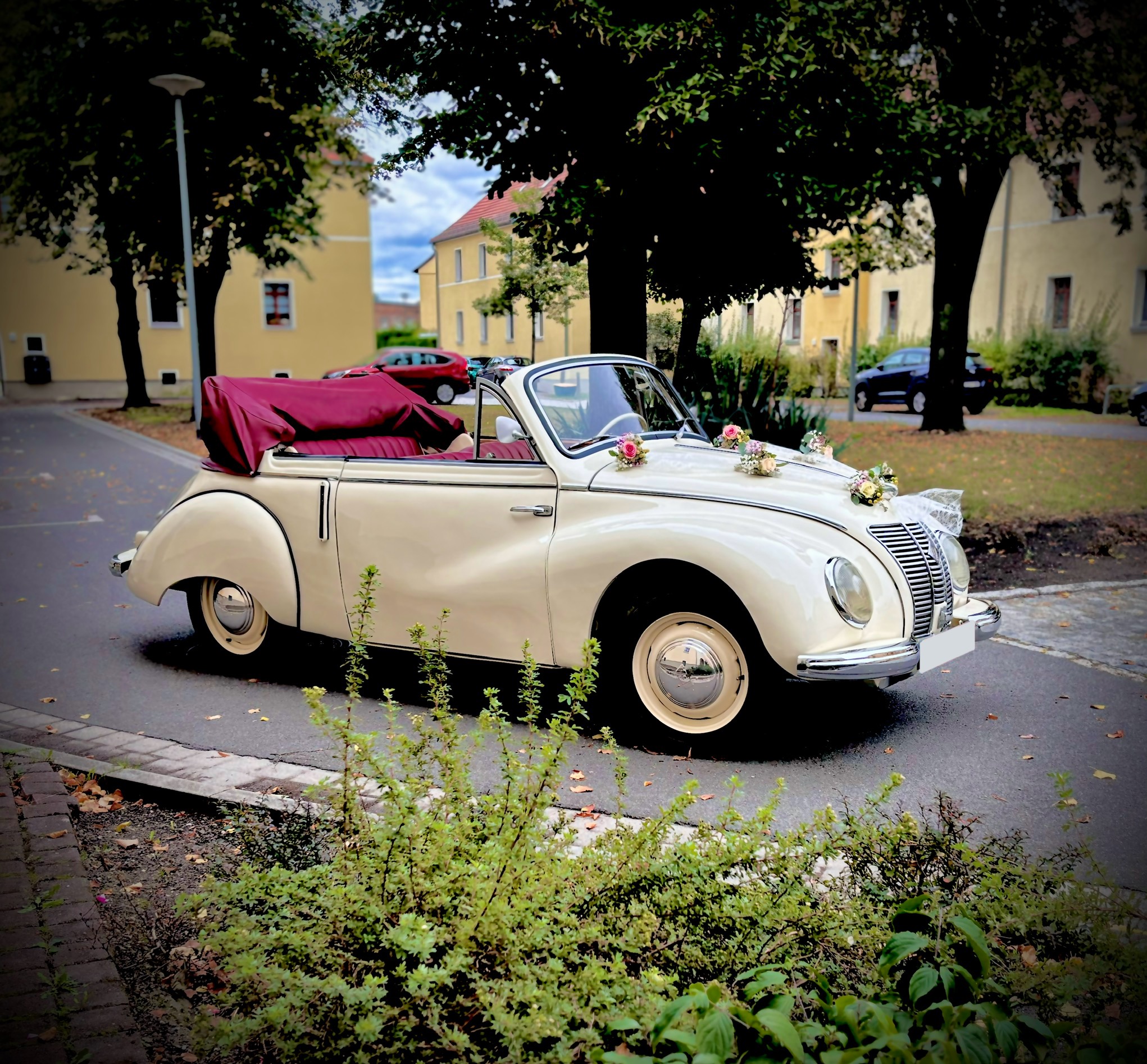 IFA F9 Cabrio - Wunderschön geschmücktes Hochzeitsauto