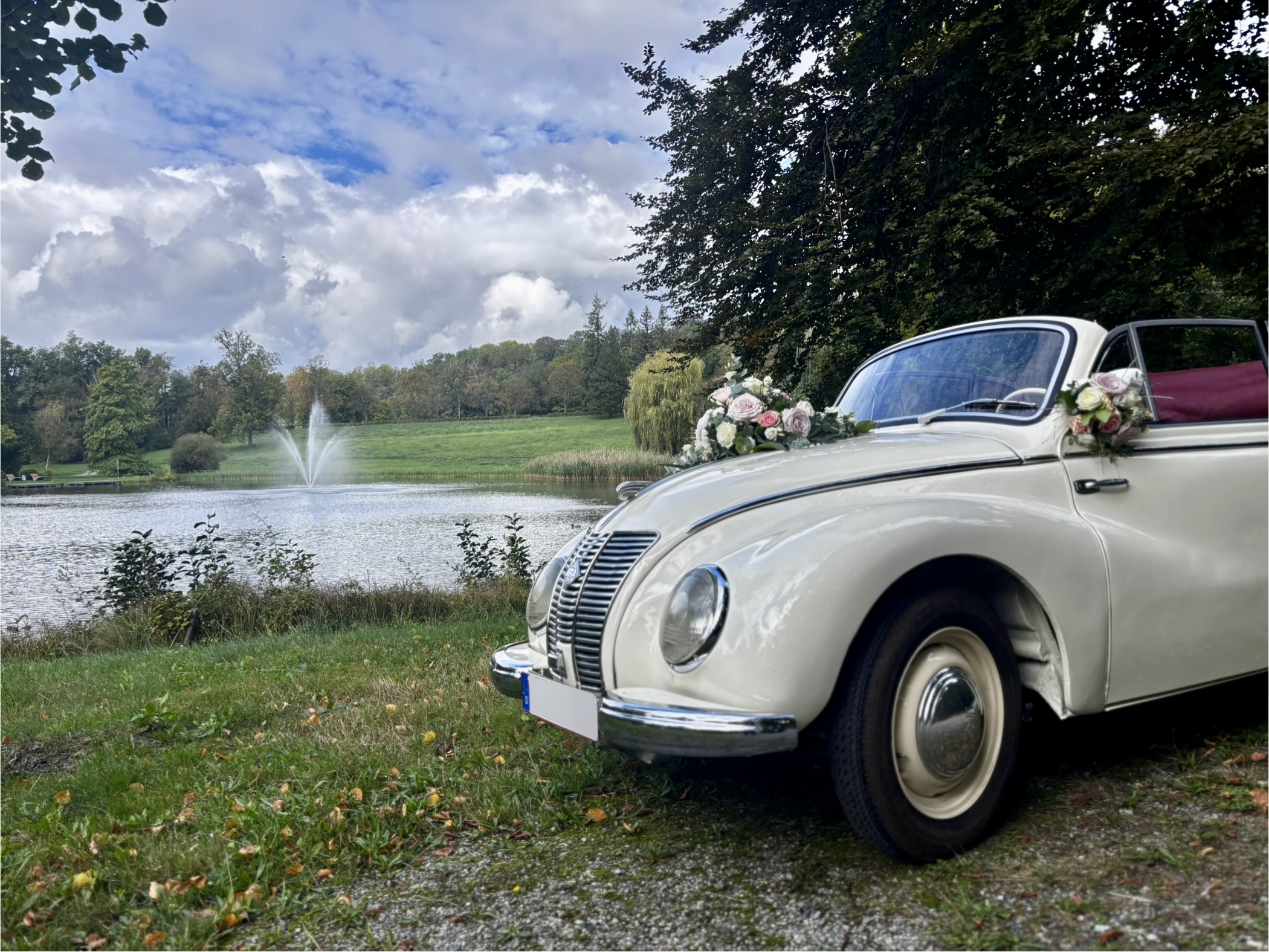 IFA F9 Cabrio - Oldtimer für Hochzeitsfahrten in der Lausitz