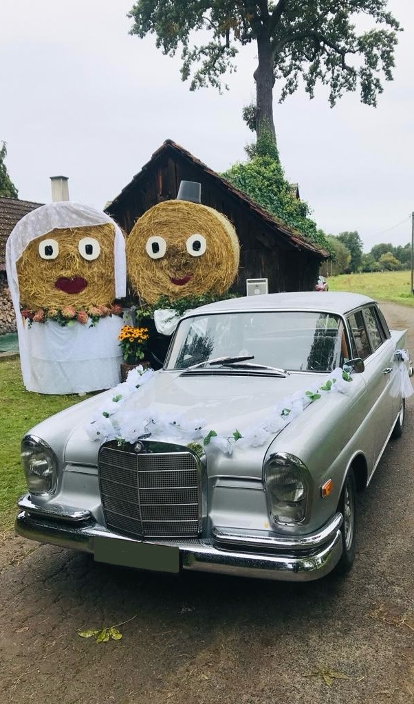 Mercedes Benz SE220 – Nostalgie & Eleganz in einem Fahrzeug