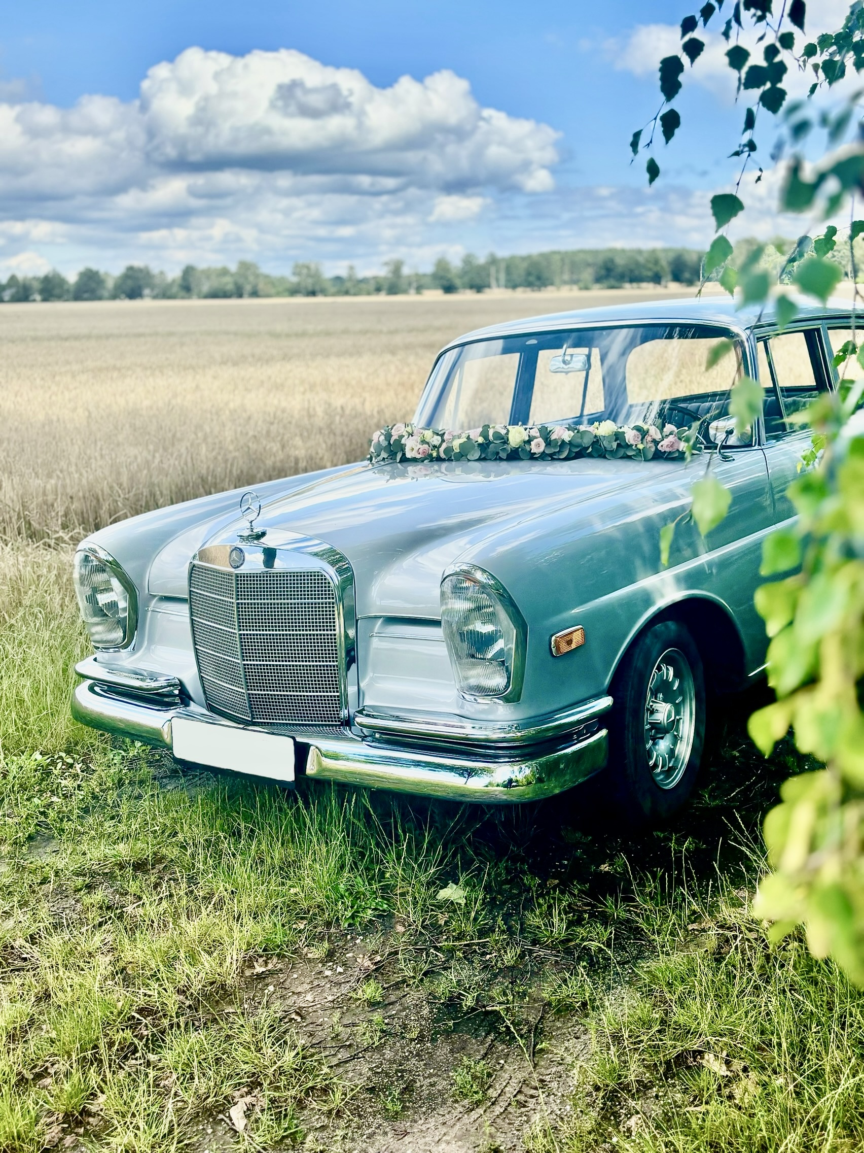 Mercedes Benz SE220 – Traumauto für Ihre Hochzeit